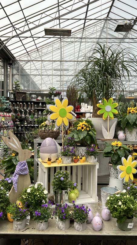 Plantes fleuries de saison