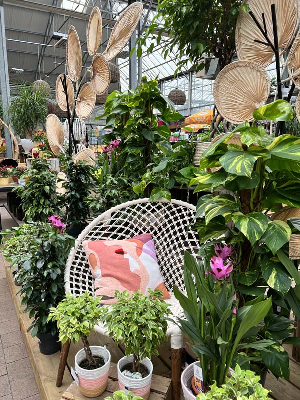Plantes vertes